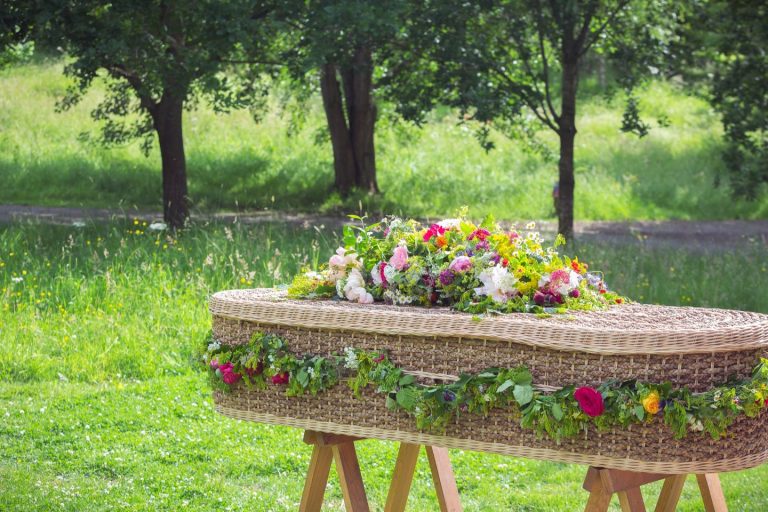 Annoncer la perte d’un animal de compagnie aux enfants : Guide pour des adieux écologiques et respectueux de l’environnement