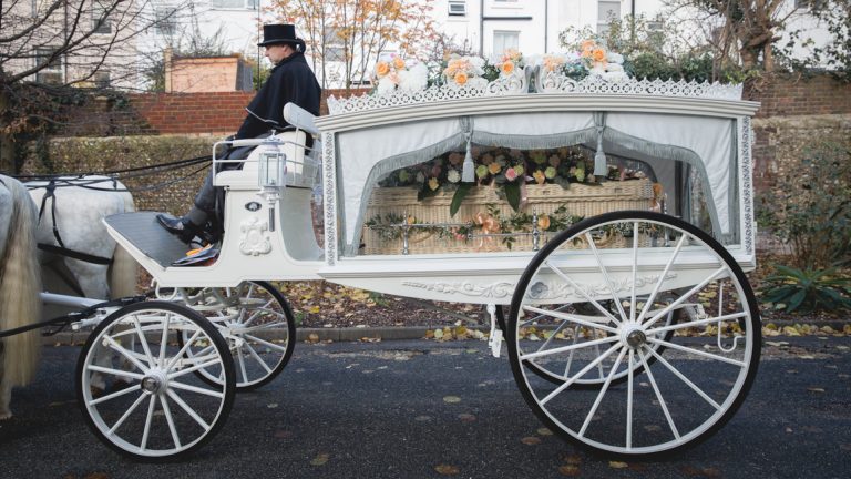 Impératifs environnementaux pour des funérailles écologiques pour animaux de compagnie