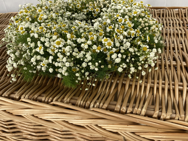 The Clash of Funeral Concepts in Europe: A Dialogue Between Tradition and Green