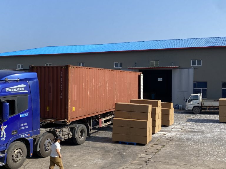 Der Weidensarg von Linshu: Eine letzte Reise in kultureller Würde