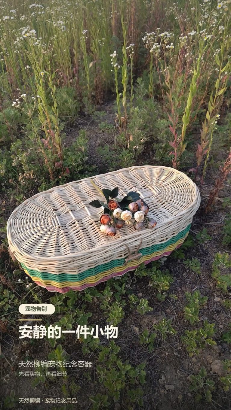 Healing After Loss: How Willow Coffins Ease Pet Owners’ Grief